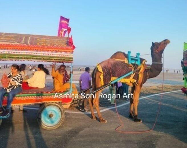 Kutch Rann Utsav : the colours of white Rann