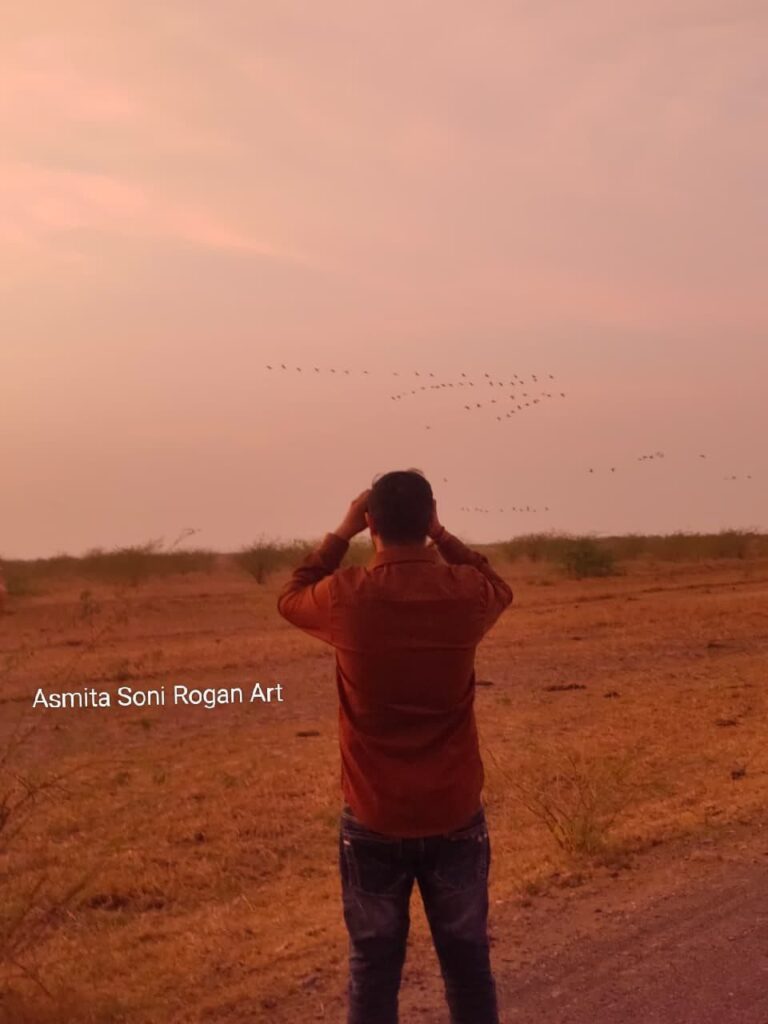 The flock of birds return to Chhar-Dhandh at sunset time