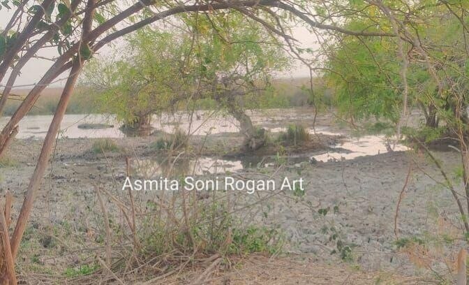 variety of vegetation and creatures surrounding | Chhari-Dhandh